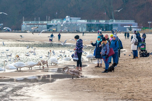 Pierwsza ciepła, pogodna, niemal wiosenna niedziela sprawiła, że na gdyńskich ulicach, plaży i bulwarach pojawiły się tłumy spacerowiczów. Zobaczcie zdjęcia!