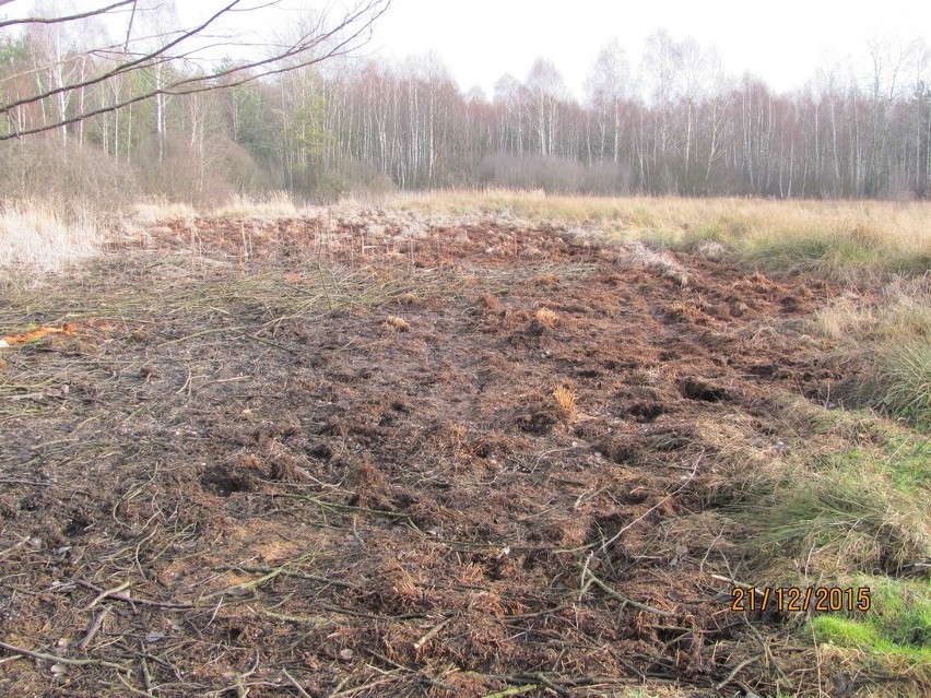 Mieszkańcy dzielnicy Podlas obawiają się, że w ich...