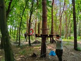 Sosnowiec. W Parku Kuronia powstaje park linowy. Przygotowano trzy trasy. Otwarcie już wkrótce