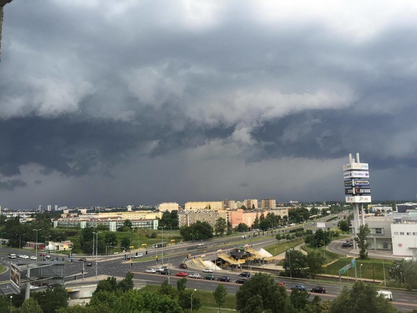 Poznań: Wichura połamała drzewa