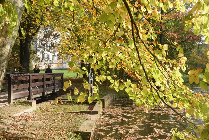 Park pszczyński w jesiennych barwach