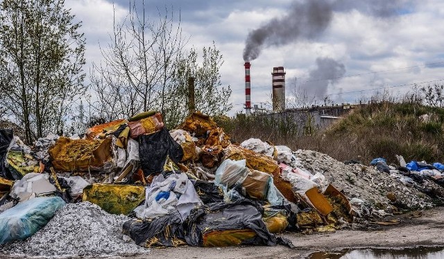 Sprawdź, co jeszcze wydarzyło się 13 października w Bydgoszczy.