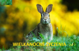 Życzenia Wielkanocne. Idealne życzenia SMS. Najlepsze wierszyki na Wielkanoc 2026