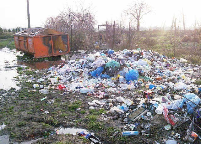 Śmieci w Brześciu wywożone są raz na dwa miesiące i to na dodatek tylko z jednego z dwóch kontenerów, więc wszędzie dookoła walają się worki ze śmieciami.