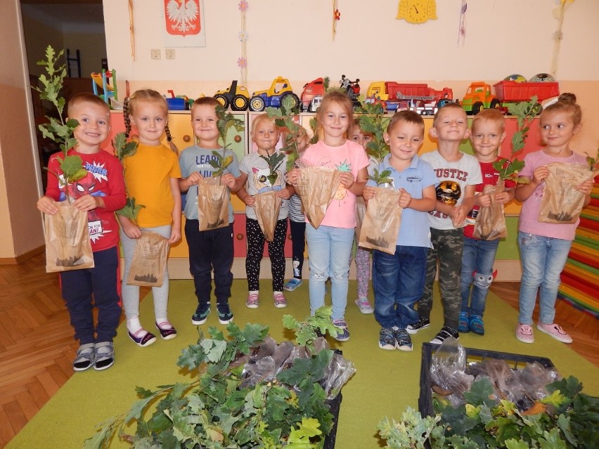 Przysuskie przedszkolaki pokazały, jak należy dbać o środowisko naturalne. Sadziły drzewka i dbały o zieleń