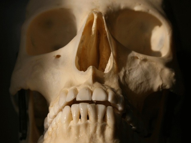 Na peryferiach Szczecinka znaleziono ludzki szkielet.