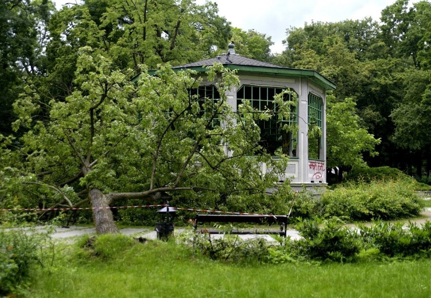 Park Kościuszki w Radomiu.