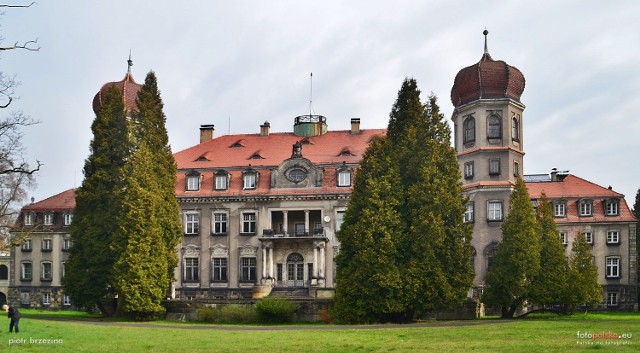 Pałac, będący częścią zabytkowego zespołu pałacowo-parkowego, obecnie użytkowany jest nieodpłatnie przez Ministerstwo Klimatu i Środowiska, które pełni funkcję organu prowadzącego dla technikum leśnego, które mieści się w pałacowym gmachu.