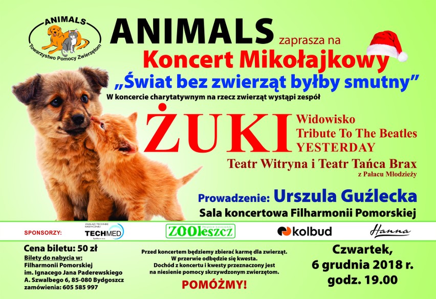 Animals w Bydgoszczy zaprasza na charytatywny koncert mikołajkowy - „Świat bez zwierząt byłby smutny” 