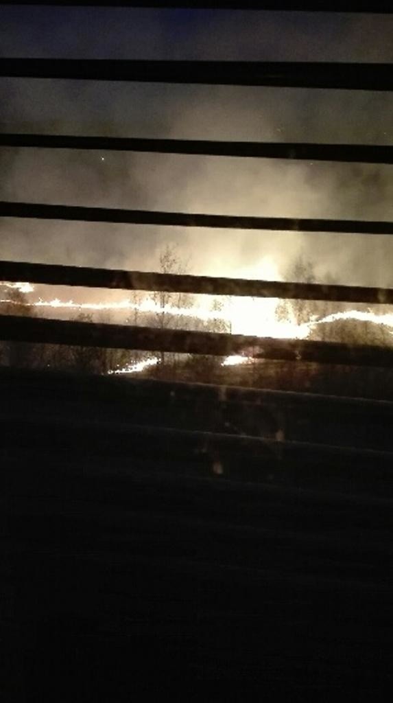 Pożar traw w Milowicach