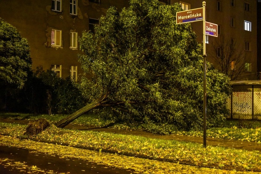Orkan Ksawery - 5.10.2017. Zniszczenia w Poznaniu