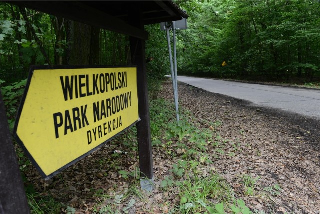 W związku z ochroną terenów cennych przyrodniczo, leżących na obszarze Natura 2000, Wielkopolski Park Narodowy zamierza wykupić działki przy brzegu jeziora Witobelskiego w gminie Stęszew. Ma to powstrzymać nielegalną zabudowę i ochronić przyrodę. Czytaj więcej ---->