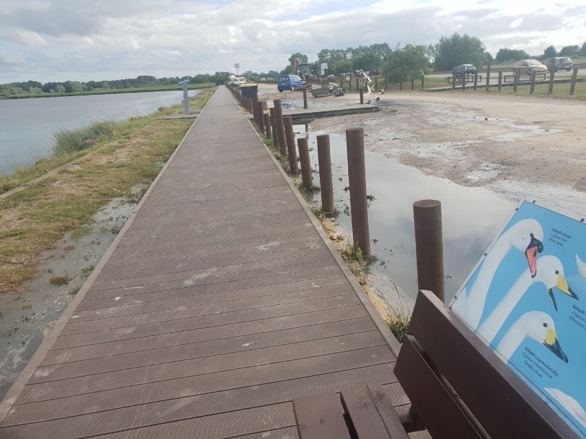 Kaczyn Winkiel. Ścieki płyną do Zatoki Puckiej (17.07.2022)