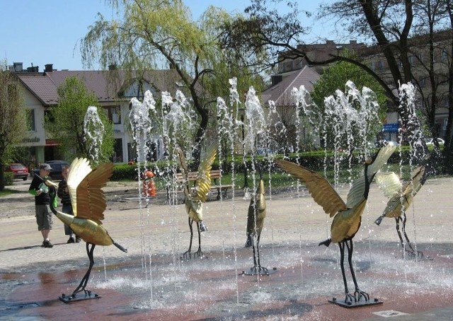 Złociste ptaki w nowodębskiej fontannie