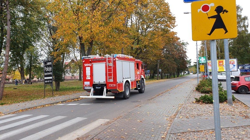 Tragiczny wypadek na torach na Półwyspie Helskim (19.10.2019). Pod kołami pociągu zginął 41-letni mężczyzna