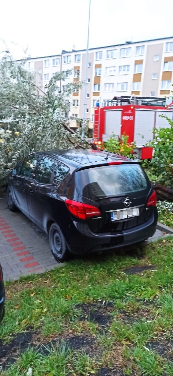 Po wichurze w Grudziądzu. Podsumowanie akcji strażaków z Grudziądza i powiatu grudziądzkiego [22 października]. Zdjęcia