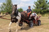 Gmina Gorzyce zaprasza na V Zlot Furmanek w Furmanach. Parada woźniców, zawody zaprzęgów konnych i atrakcje dla widzów w niedzielę 17 lipca