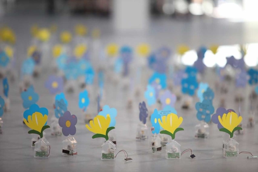 Radom. "Tańczące kwiaty" w Elektrowni można oglądać tylko do 13 sierpnia 