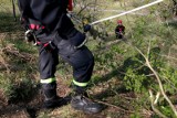 Jest praca w straży pożarnej. Komendy PSP poszukują kandydatów do służby. Ich test jest cięższy niż do policji!