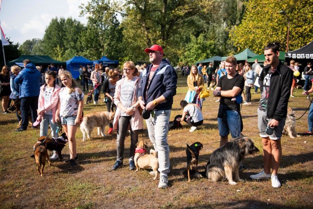 Zdjęcie z festynu, który w ubiegłym roku odbył się w toruńskim schronisku