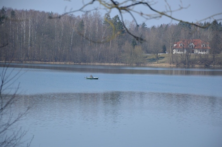 Jezioro Jeleń w Bytowie jest w fatalnej  kondycji! Zły stan wody i jej poziom są zatrważające