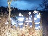 Wypadek na drodze Karlino - Lubiechowo. Kierowca był nietrzeźwy [zdjęcia]