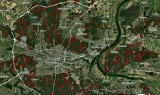 Wycinki drzew w kujawsko-pomorskich lasach. Jest interaktywna mapa
