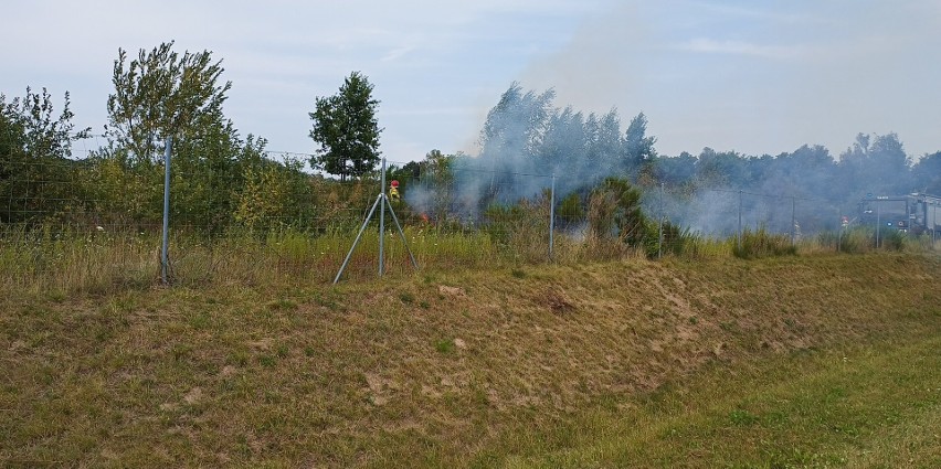 Pożar przy zjeździe z obwodnicy w Redzikowie