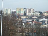 Radny Starachowic chce likwidacji ogródków działkowych. Działkowcy protestują