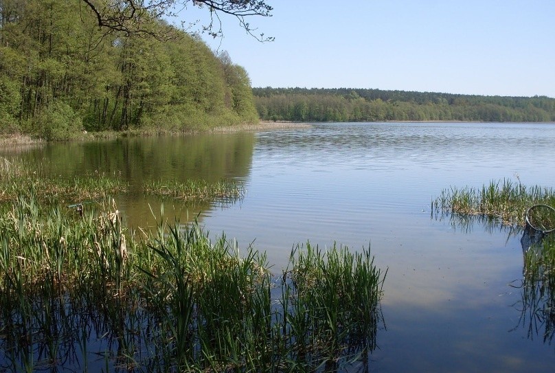 Woda w Bałtyku zimna. To może nad jezioro? [przegląd jezior w regionie]