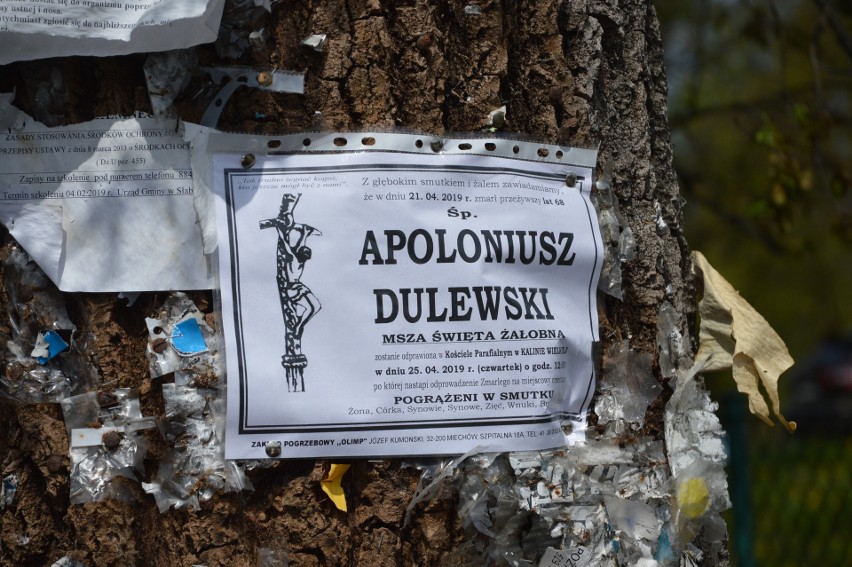 Na cmentarzu w Kalinie Wielkiej spoczął Apoloniusz Dulewski