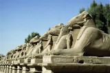 Egipt znów otworzył starożytną „aleję sfinksów”, nazywaną kiedyś "Ścieżką Boga"