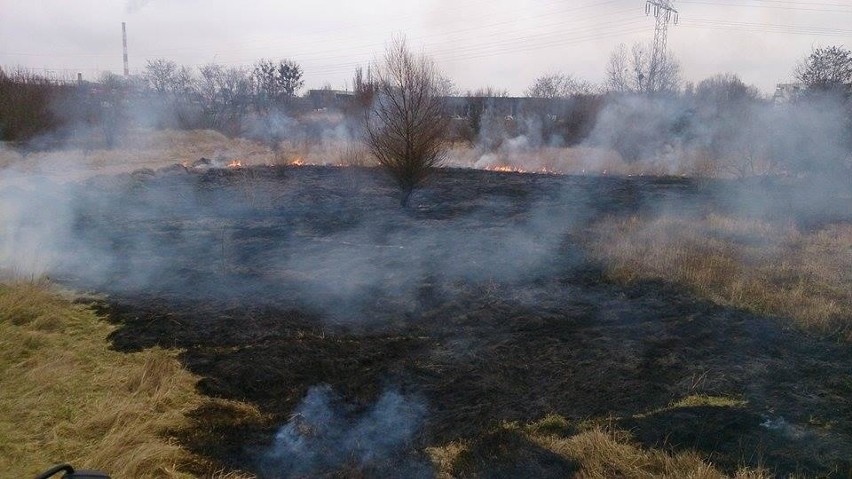 Pożar trawy przy moście Lecha