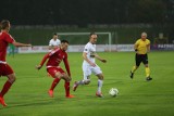 Nice 1 Liga. Zagłębie Sosnowiec pewnie ograło beniaminka. Dublet Pribuli