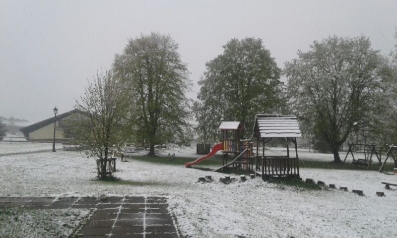 Zima wróciła w Beskid Niski. Śnieg sypie w Wysowej-Zdroju, Regietowie, Gładyszowie. Padać ma co najmniej do południa [ZDJĘCIA]