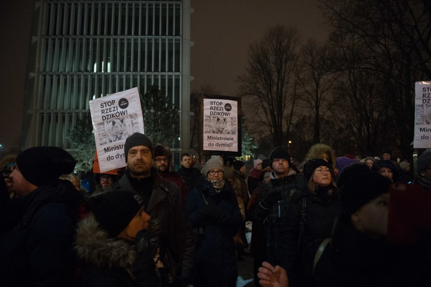 Protest przeciw odstrzałowi dzików pod Sejmem (9/01/2019)