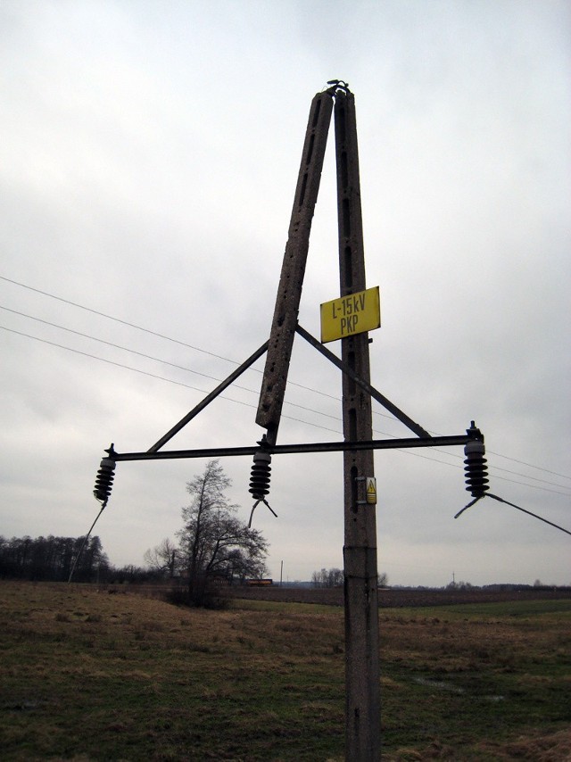 Złamany przez złodziei słup linii energetycznej okradzionej z kabli w Pabianicach.