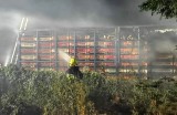 Straszny wypadek na Dolnym Śląsku. Spłonęło 3600 kurczaków