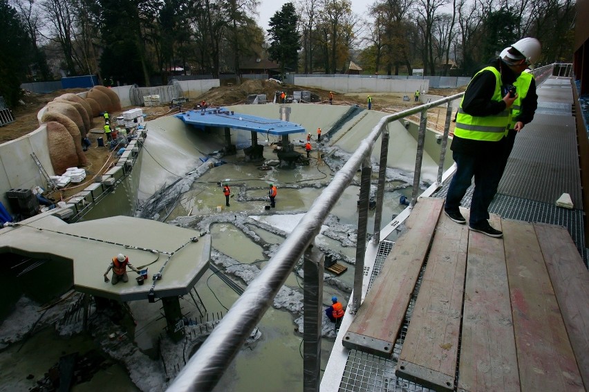 12.11.2013 wroclaw we wroclawskim zoo powstaje afrykarium...