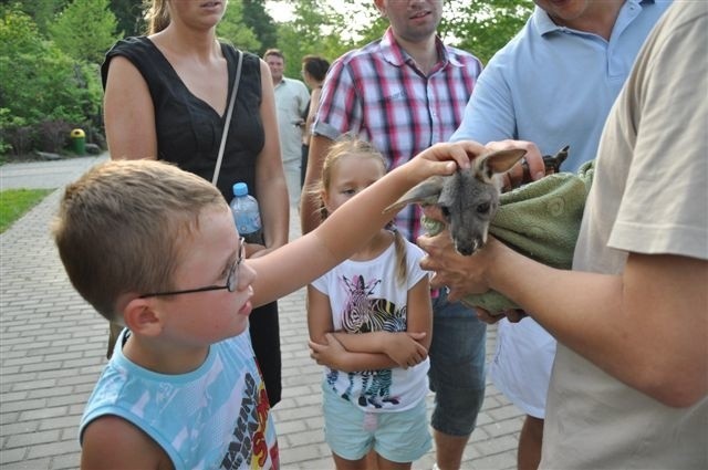 Dzieci opanowaly opolskie zoo