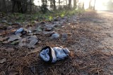 Las Turczyński. Tajemnicza śmierć w lesie. Znaleziono zwłoki 27-latki (zdjęcia)