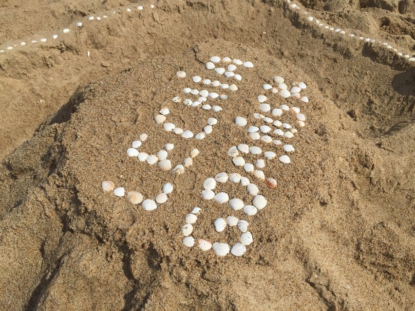 PGE Arena z piasku. Konkurs budowania piaskowego stadionu na plaży w Brzeźnie