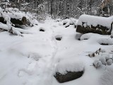 Ślęża jak z Narnii! Mocno sypnęło śniegiem pod Wrocławiem. Zaśnieżone górskie szlaki