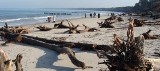 Plaża w Ustce po sztormie (zdjęcia, wideo)