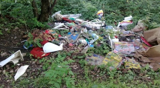 Te śmieci nasz czytelnik sfotografował w lesie przy ulicy Tarnowskiej w Kielcach.