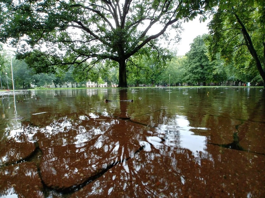 Zalany park Powstańców Warszawskich