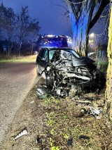 Łódzkie. BMW rozbite na drzewie! Kierowca uciekł z miejsca wypadku! 