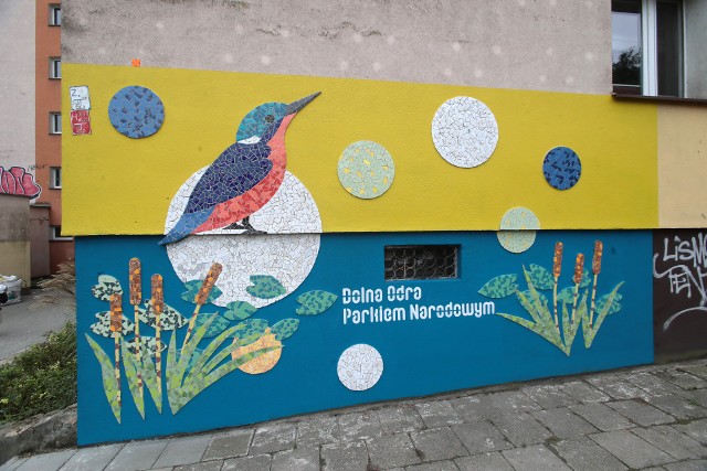 Mozaika powstała, by zwrócić uwagę na brak właściwej ochrony przyrody rozlewiska Dolnej Odry.
