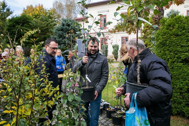 Akcja rozdawania sadzonek drzew owocowych i krzewów w powiecie krakowskim w poprzednich latach