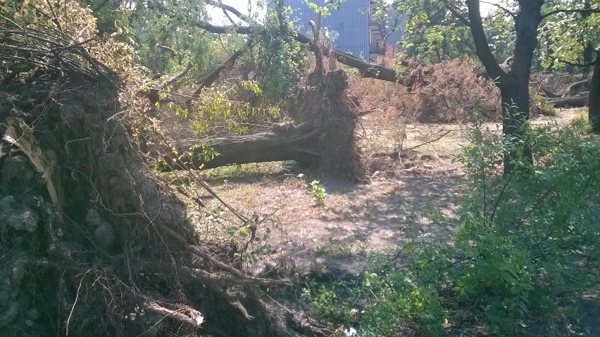 Sprzątanie po lipcowej burzy potrwa nawet do końca roku